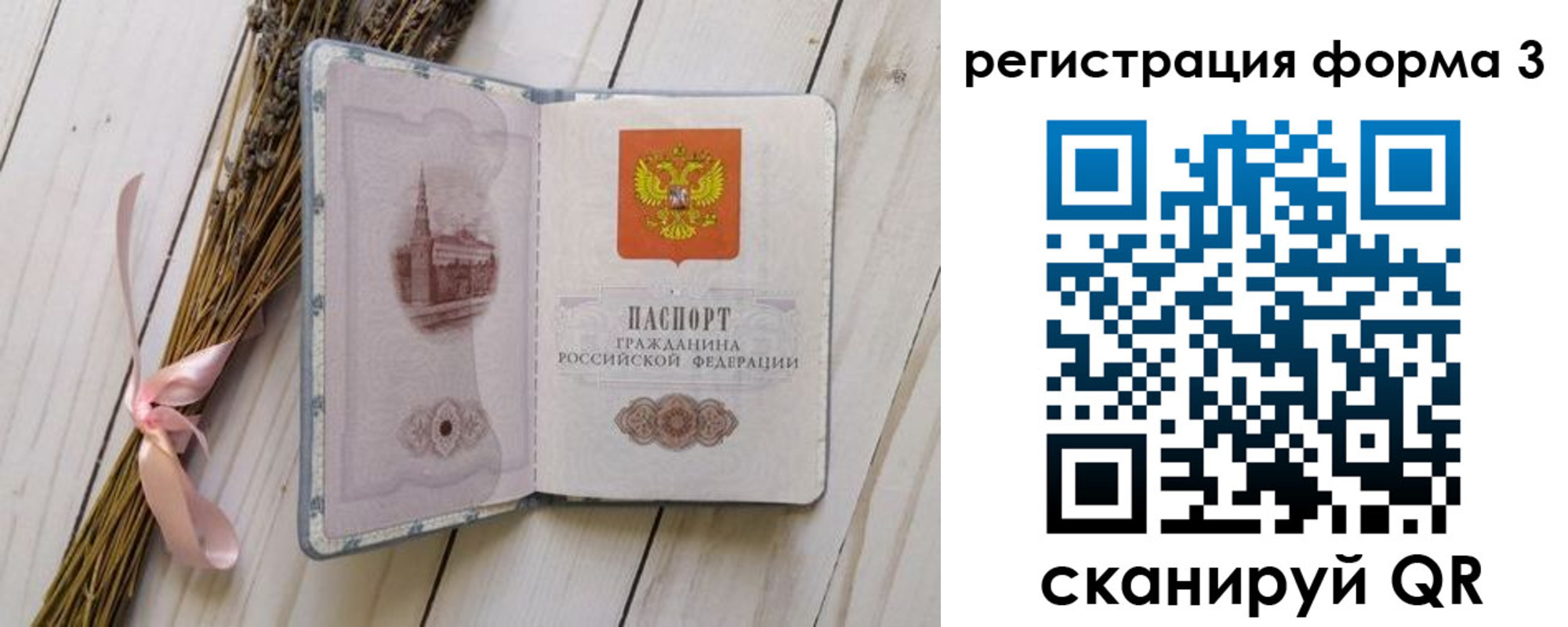 прописка поиск в Нелидово